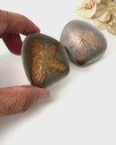 Glendonite - Calcite after Ikaite (Kola Peninsula, Russia)