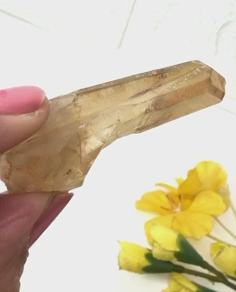 #Size_option a (12.93 g)