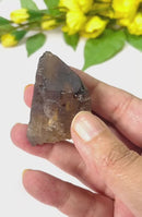 Natural Citrine Points from Zambia (Not heat treated)