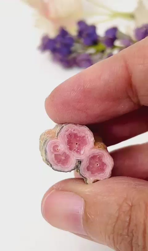 #Size_option 12 (8 gms)