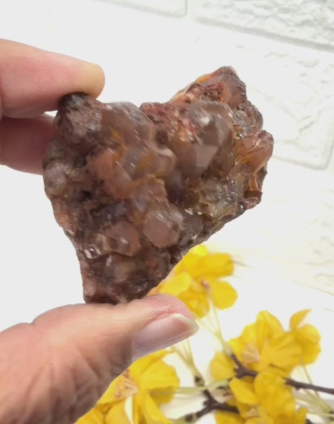 #Size_cluster c (72.9 g)