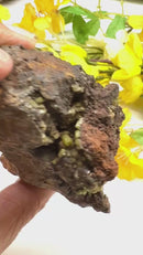 Pyromorphite on Matrix Specimen from Morocco (Achieve Goals)