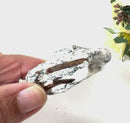 Astrophyllite Rough