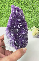 Standing Amethyst Clusters from Uruguay AAA Extra (Very dark Purple)