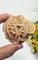 Brown Desert Rose Clusters