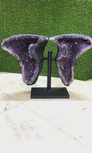 Amethyst Butterfly Geodes from Brazil AAA Quality