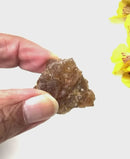 Natural Citrine from Morocco (Career Growth) (Not Heated)