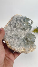 Celestite Cluster (Astral Travel and Intuition)