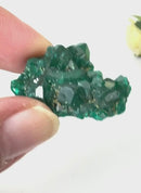 Dioptase Mineral Clusters (Katango, Congo) (Emotional healing)