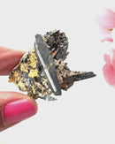 Aegirine Mineral Specimen (Transformation & Protection)