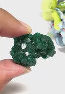 Dioptase Mineral Clusters (Katango, Congo) (Emotional healing)