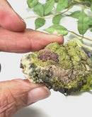 Prehnite and Epidote Mineral Specimen