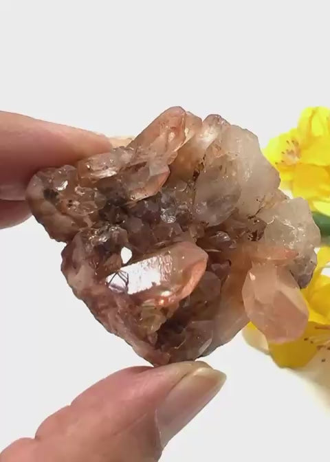 #Size_cluster b (55.73 g)