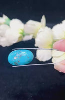 Natural Iranian Turquoise Gem (Firoza)