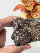 Dark Brown Vanadinite Specimen from Morocco (Motivation)
