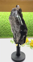 Smoky Quartz / Morion Cluster with large Points on Stand (Support)