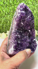 Standing Amethyst Clusters from Uruguay AAA Extra (Very dark Purple)