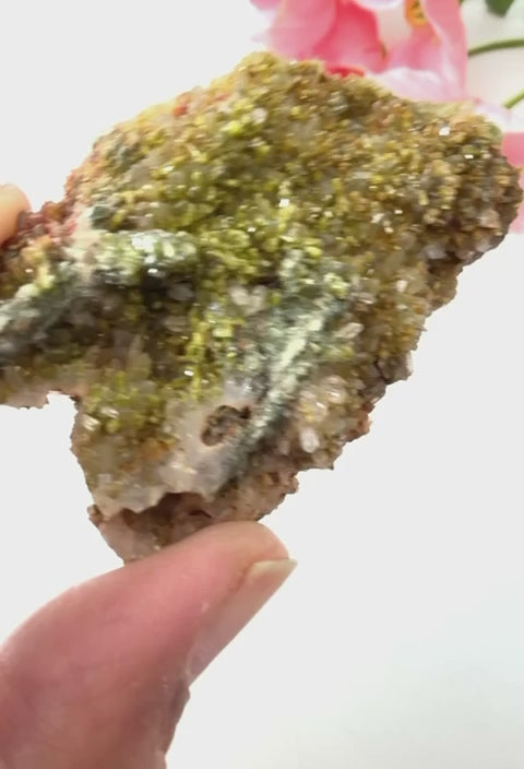 #Size_option d (26.7 g)