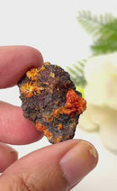 Mimetite Mineral Specimen (Arizona, USA)