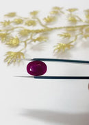 Ruby Gem stone - African (Vitality & Success)