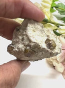 Vesuvianite on Matrix Mineral Specimen (Encourages Team work)