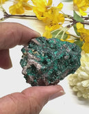 Dioptase Mineral Specimen (Resolve past Karma)