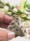 Vesuvianite on Matrix Mineral Specimen (Encourages Team work)