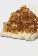 Large Citrine Clusters (Career and Business)