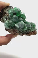 Green Fluorite Clusters from England