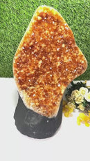 Citrine Standing Clusters AAA Extra Quality (For Career and Business)