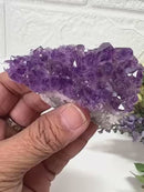 Natural Amethyst Clusters in AAA Extra Quality (Option Wise)