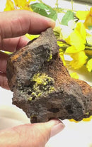 Pyromorphite on Matrix Specimen from Morocco (Achieve Goals)