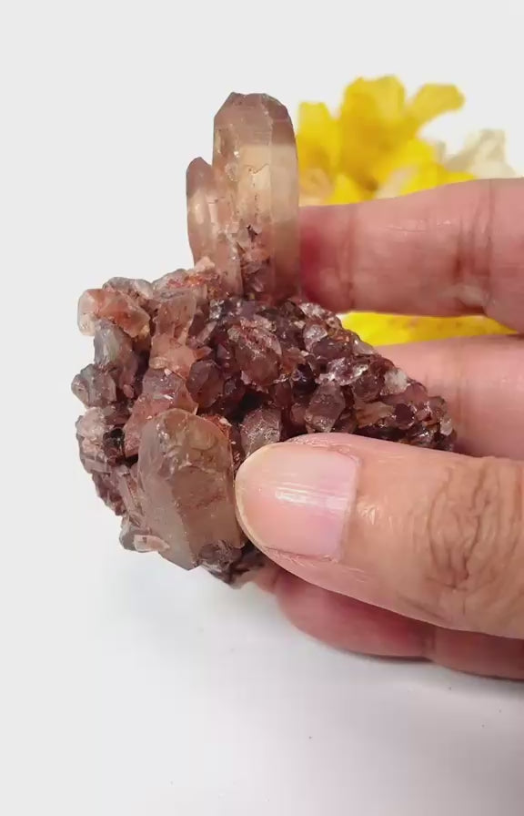 #Size_cluster d (62.3 g)
