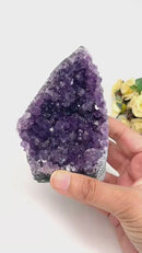 Standing Amethyst Clusters from Uruguay AAA Quality (High Vibrations)