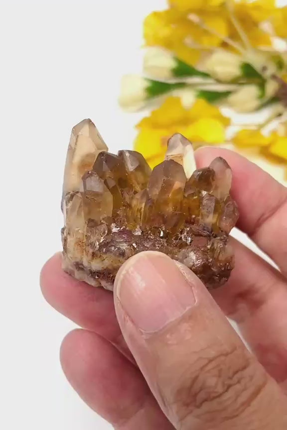 #Size_cluster b (48 g)