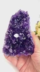 Standing Amethyst Clusters from Uruguay AAA Extra (Very dark Purple)