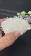 Needle Quartz Clusters from Colombia (Master Healers)