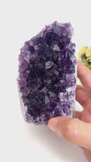 Standing Amethyst Clusters from Uruguay AAA Quality (High Vibrations)