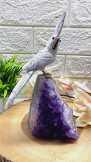 Howlite Parrot on Amethyst Cluster