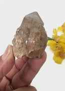 Natural Kundalini Citrine Points / Clusters from Congo