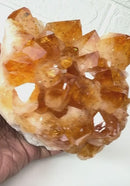 Large Citrine Clusters (Career and Business)