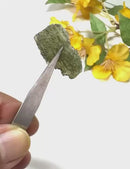 Moldavite Rough (Spiritual growth & Abundance)