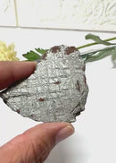 Muonionalusta Meteorite