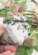 Silver on Matrix Mineral Specimen (Psychic Abilities)