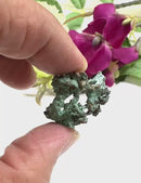 Green Copper Specimen from Morocco