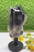 Smoky Quartz / Morion Cluster with large Points on Stand (Support)