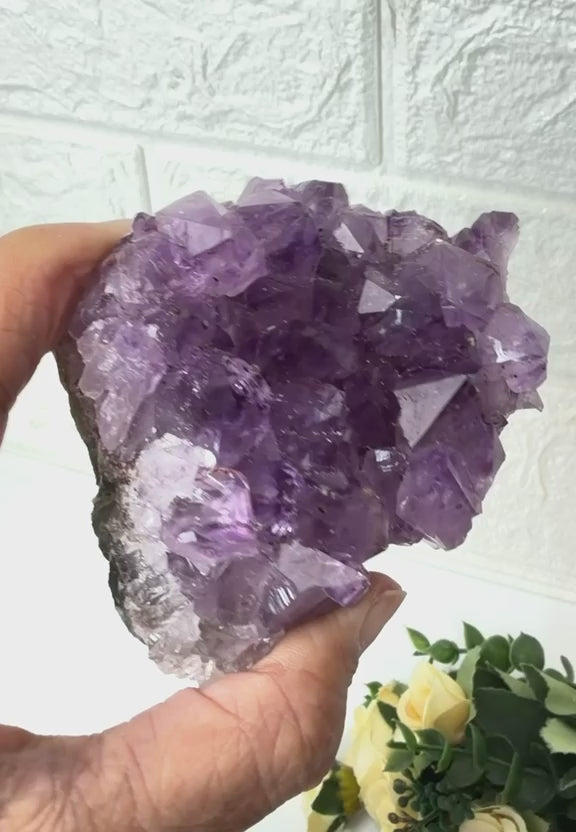 #Size_cluster f (199.6 g)