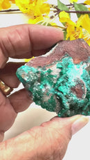 Dioptase Mineral Specimen (Resolve past Karma)