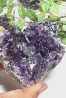 Natural Amethyst Clusters in AAA Extra Quality (Option Wise)