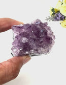 Natural Amethyst Clusters in AAA Quality (Option Wise)